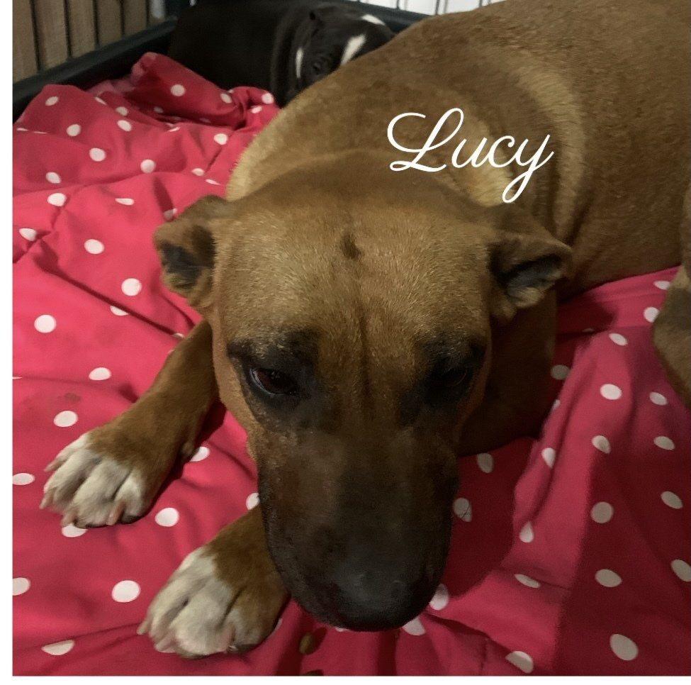 Lucy