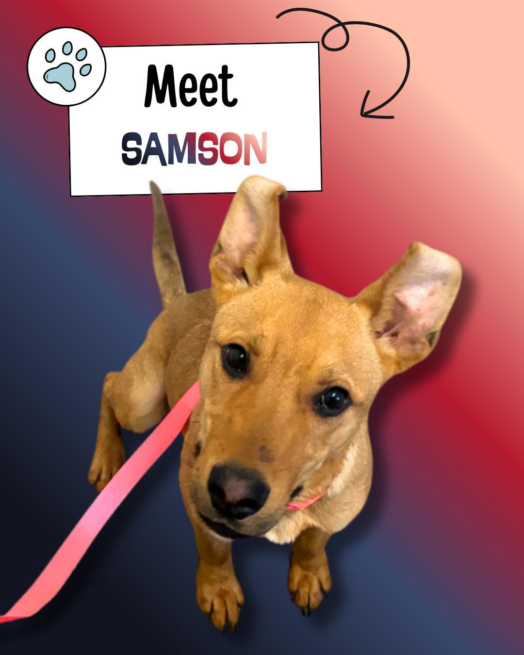 Samson