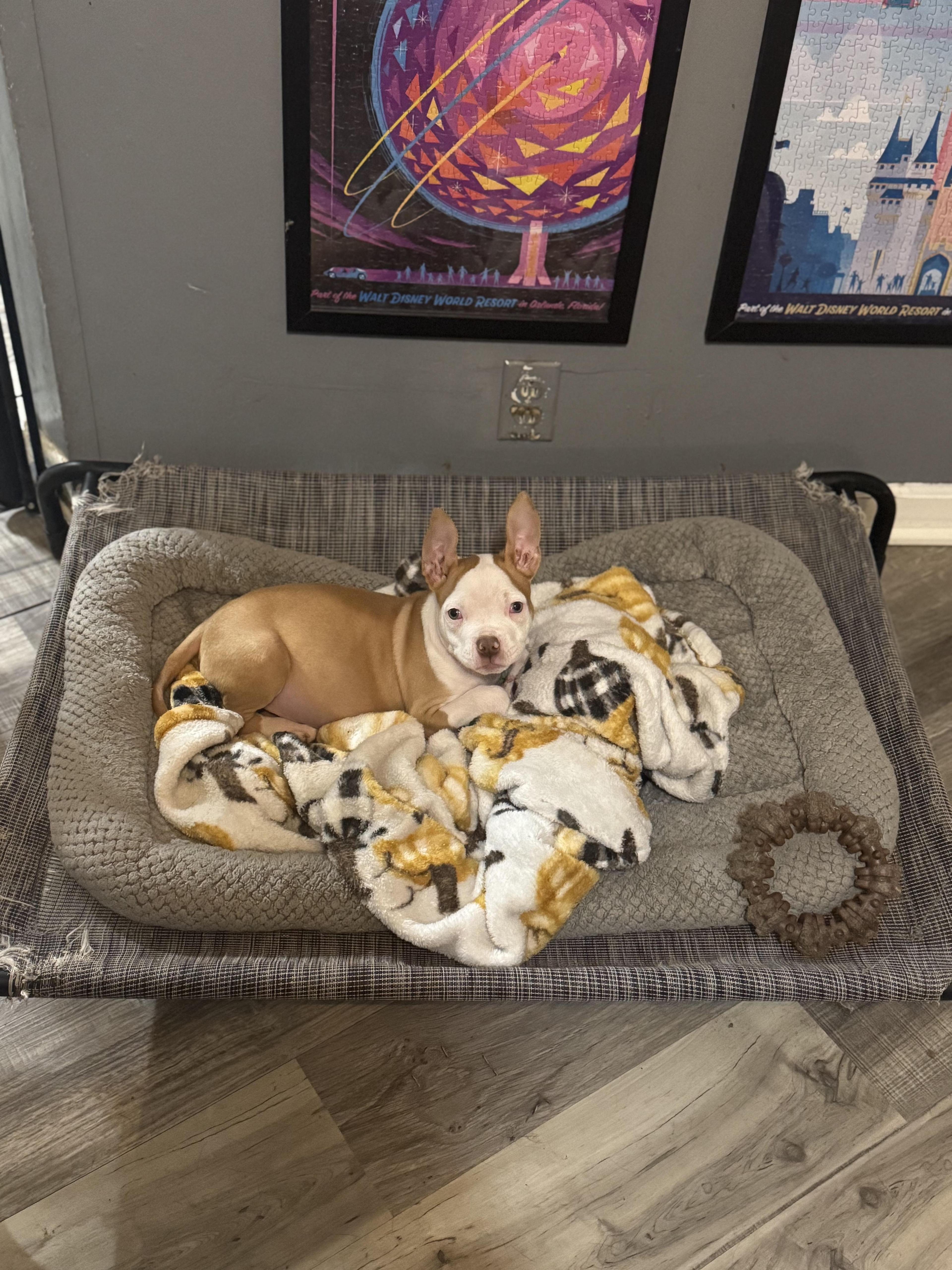 Ezekiel! Precious Angel!