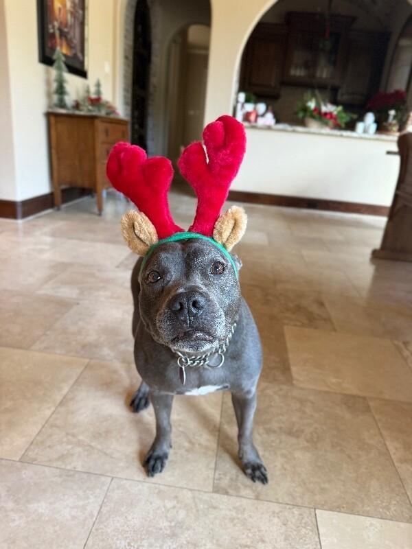 Lola Lovebug Your Soulmate