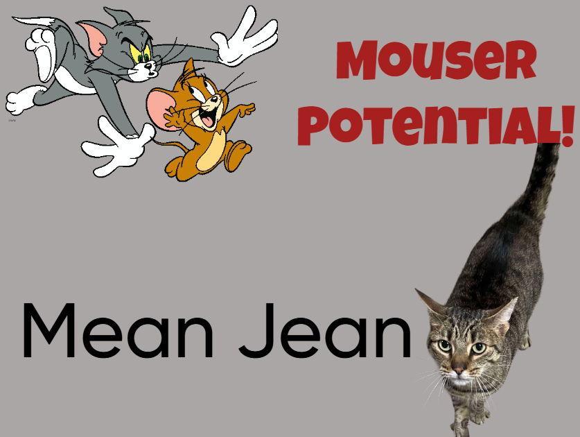 Mean Jean