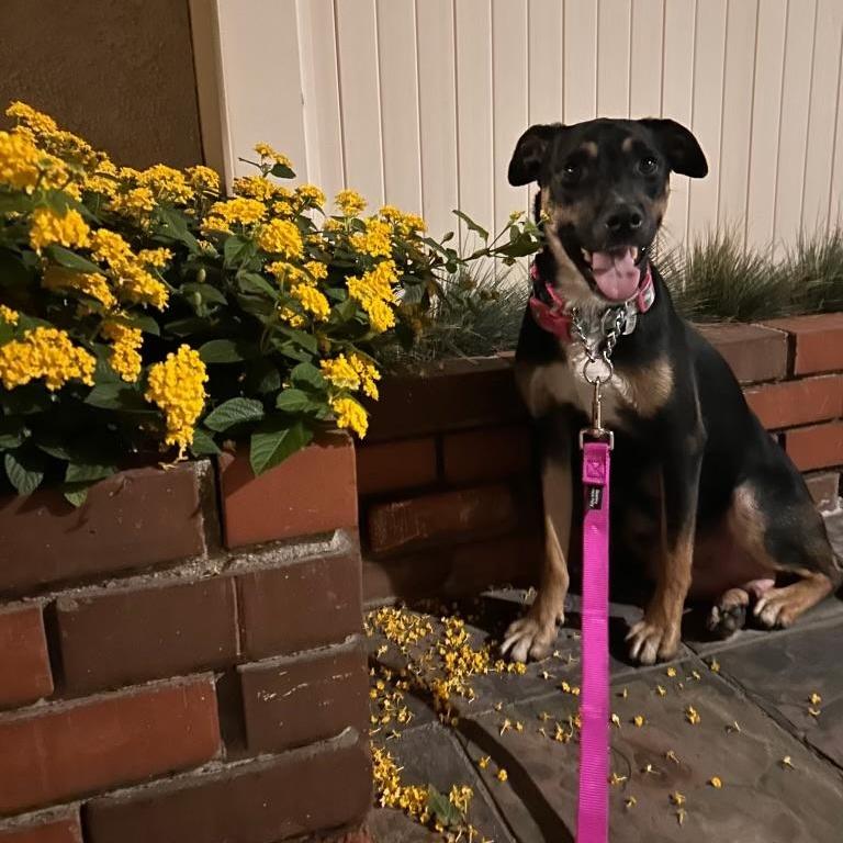 Wendy~ Ready For Love