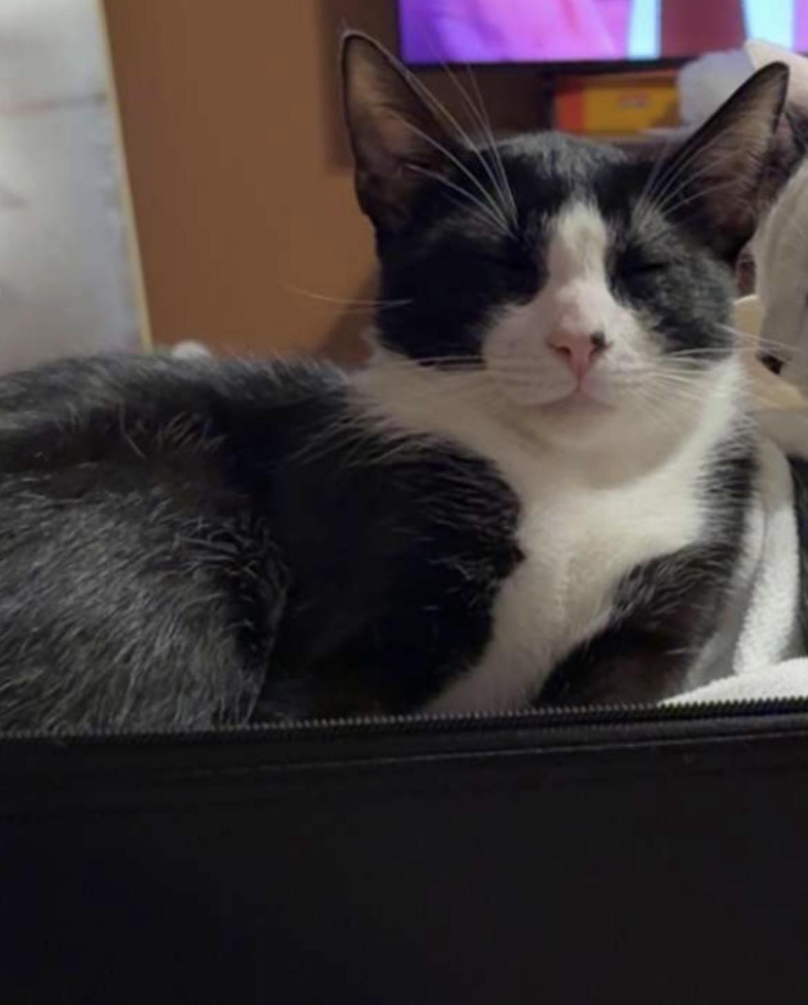 Sebastian