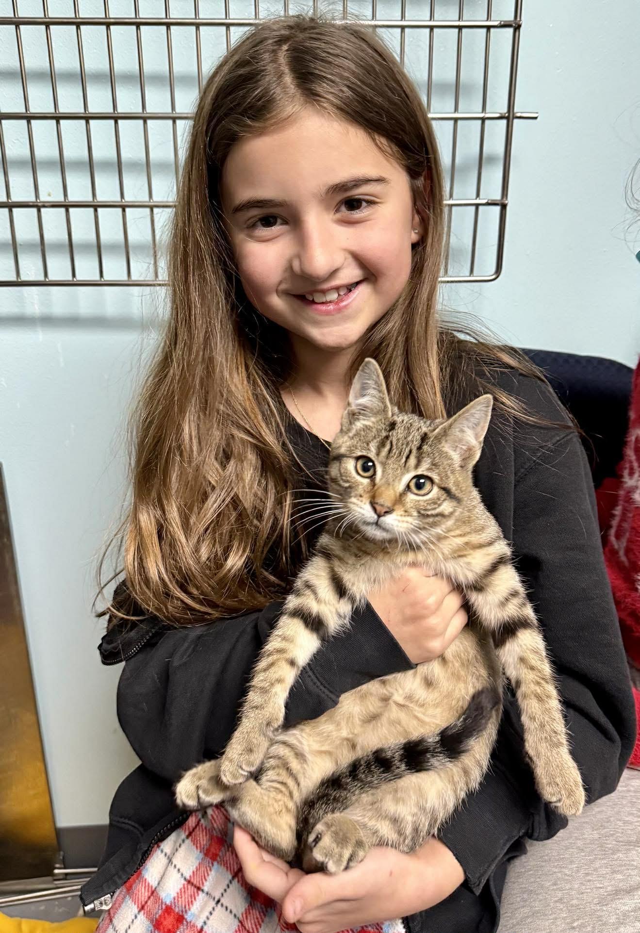 Yoda Purrfectly Playful