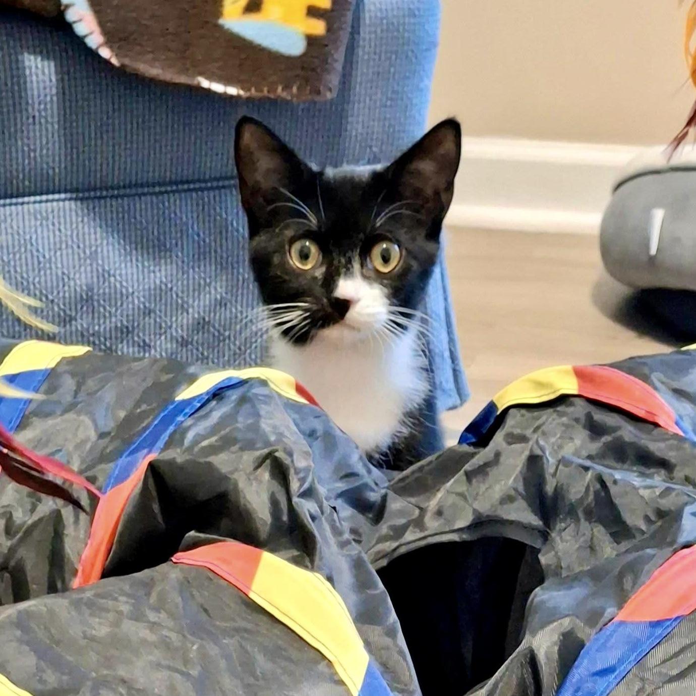 Sybil Fawlty photo 1