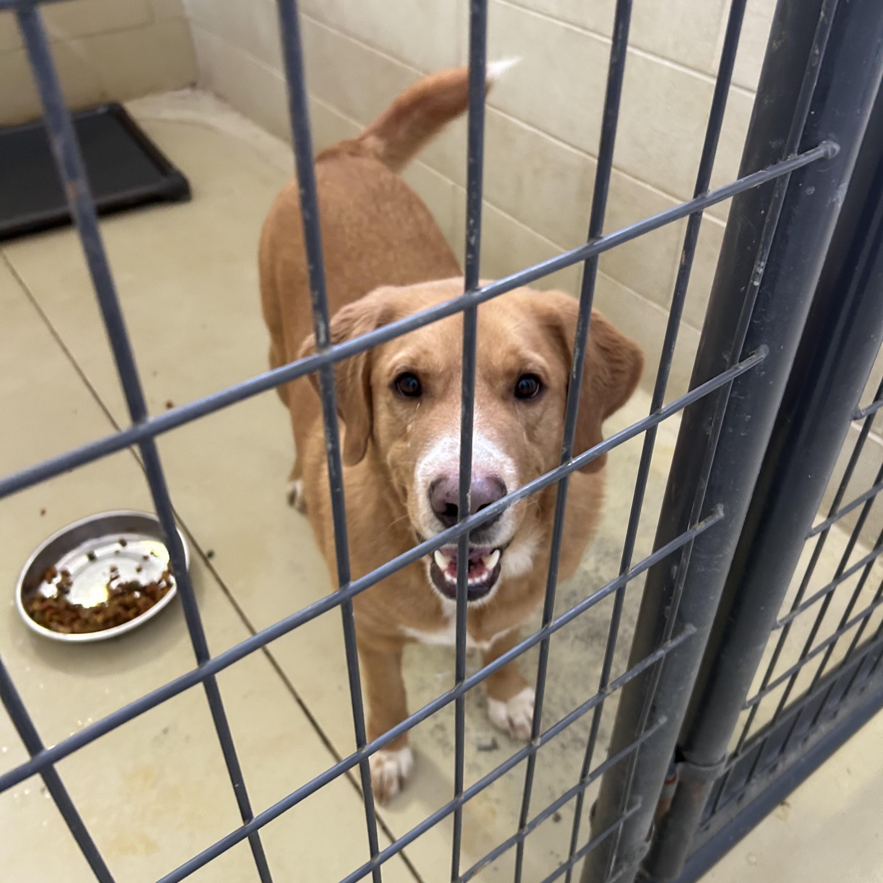 Bandit Groves photo 1