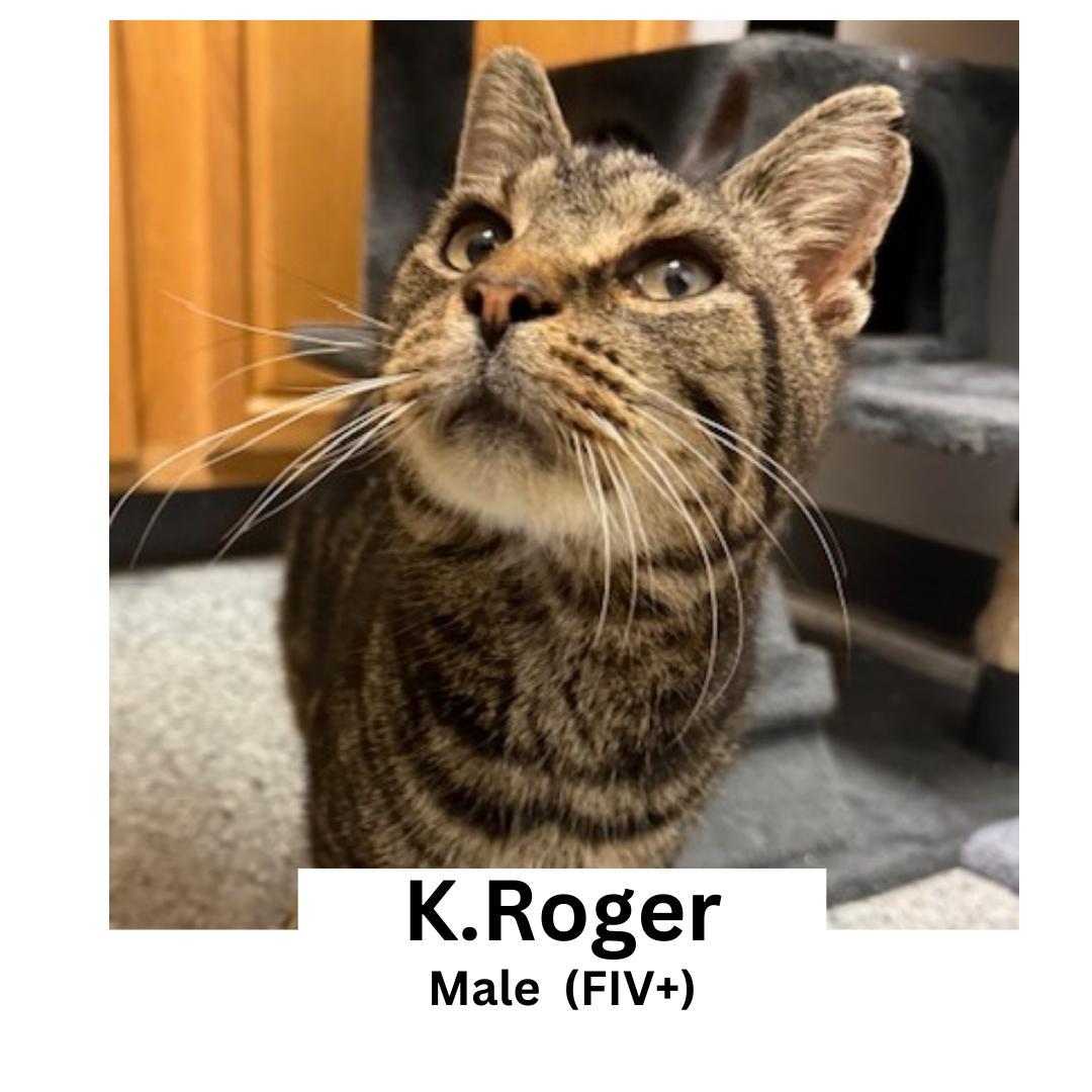 K. Roger