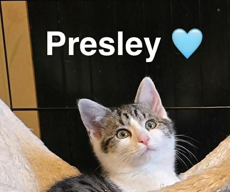 Presley