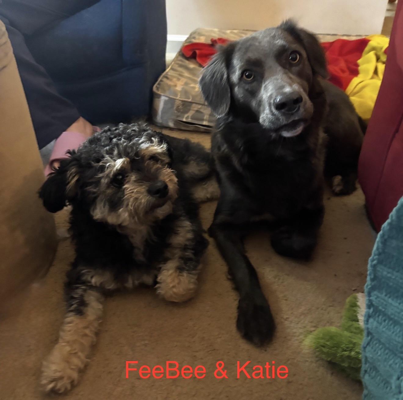 Bonded Pair Feebee &