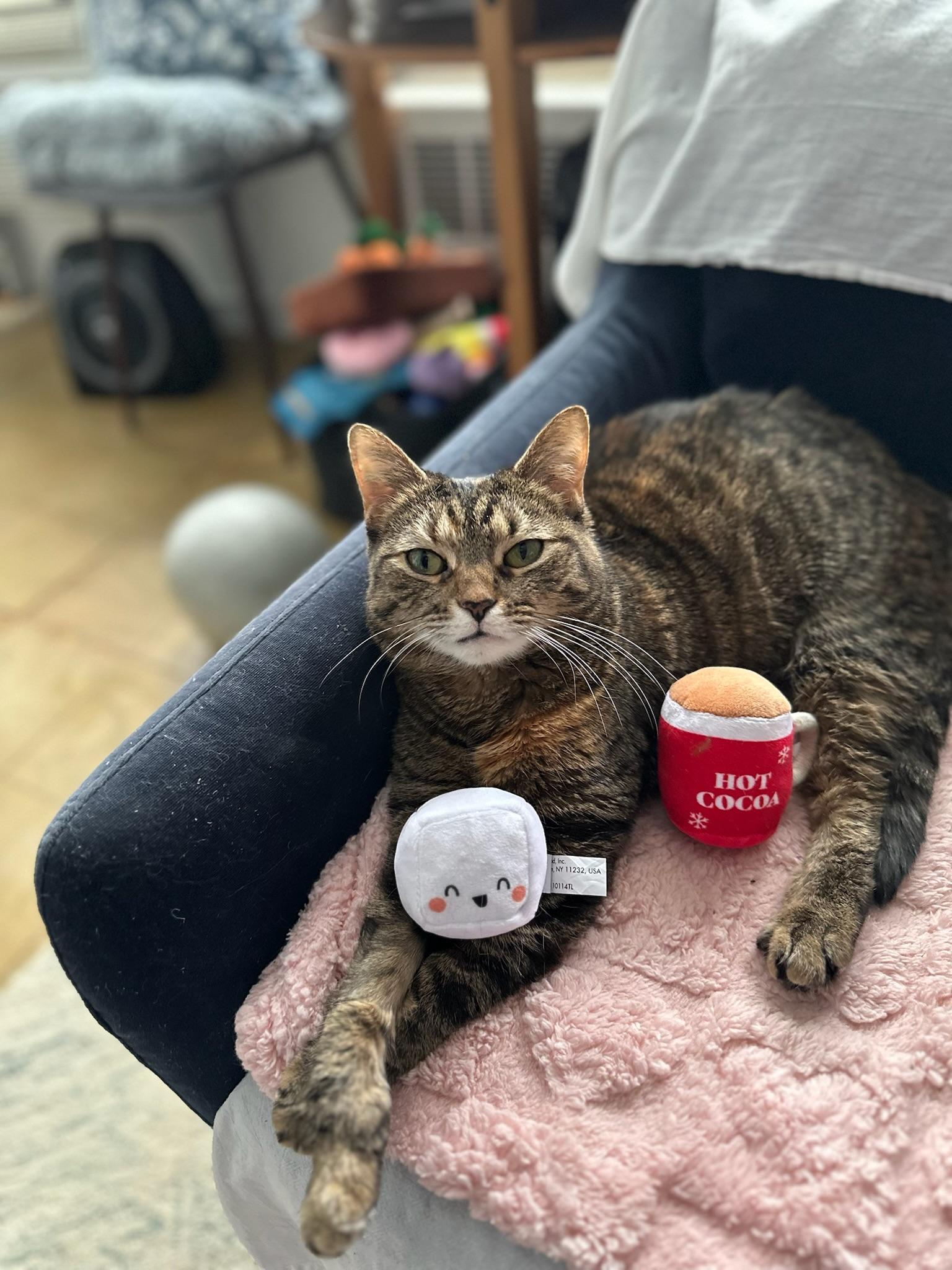 Blanket! The Beautiful Sweetest