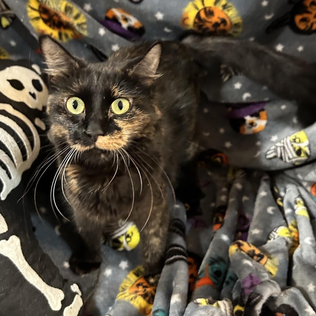 Cuivre River photo 1