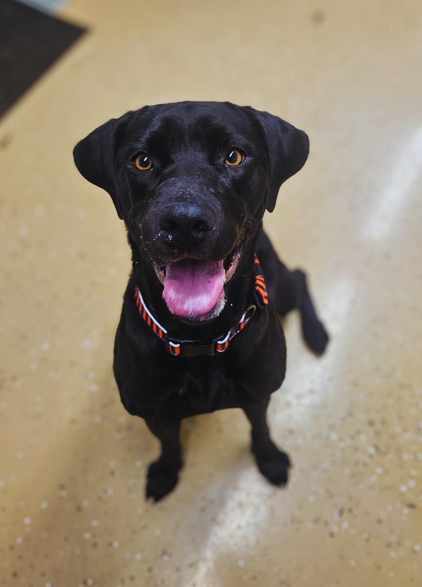 Juniper Super Affectionate!