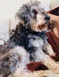 Charlie {coming Soon}