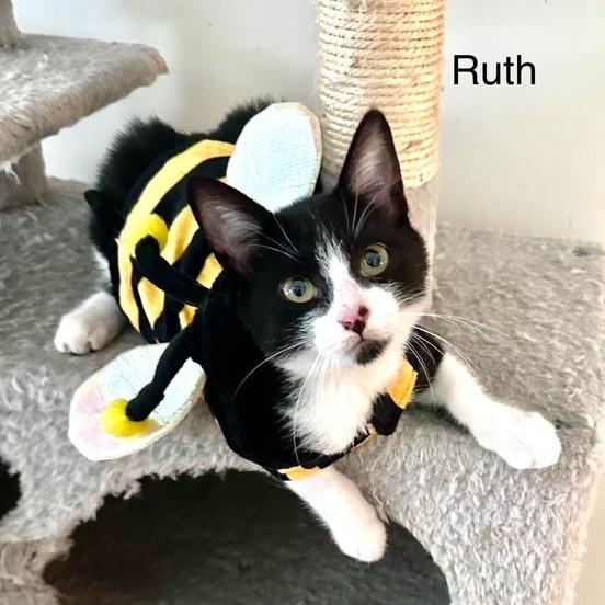 Ruth