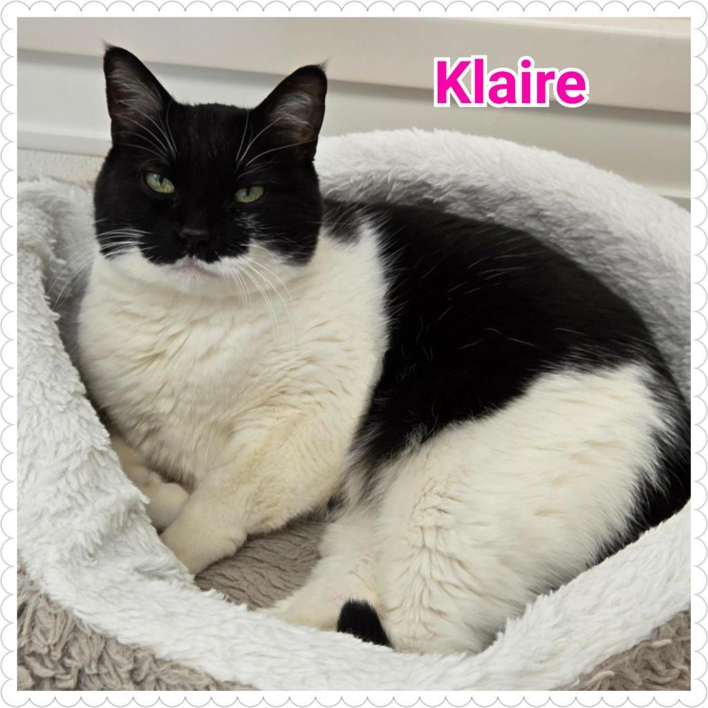 Klaire