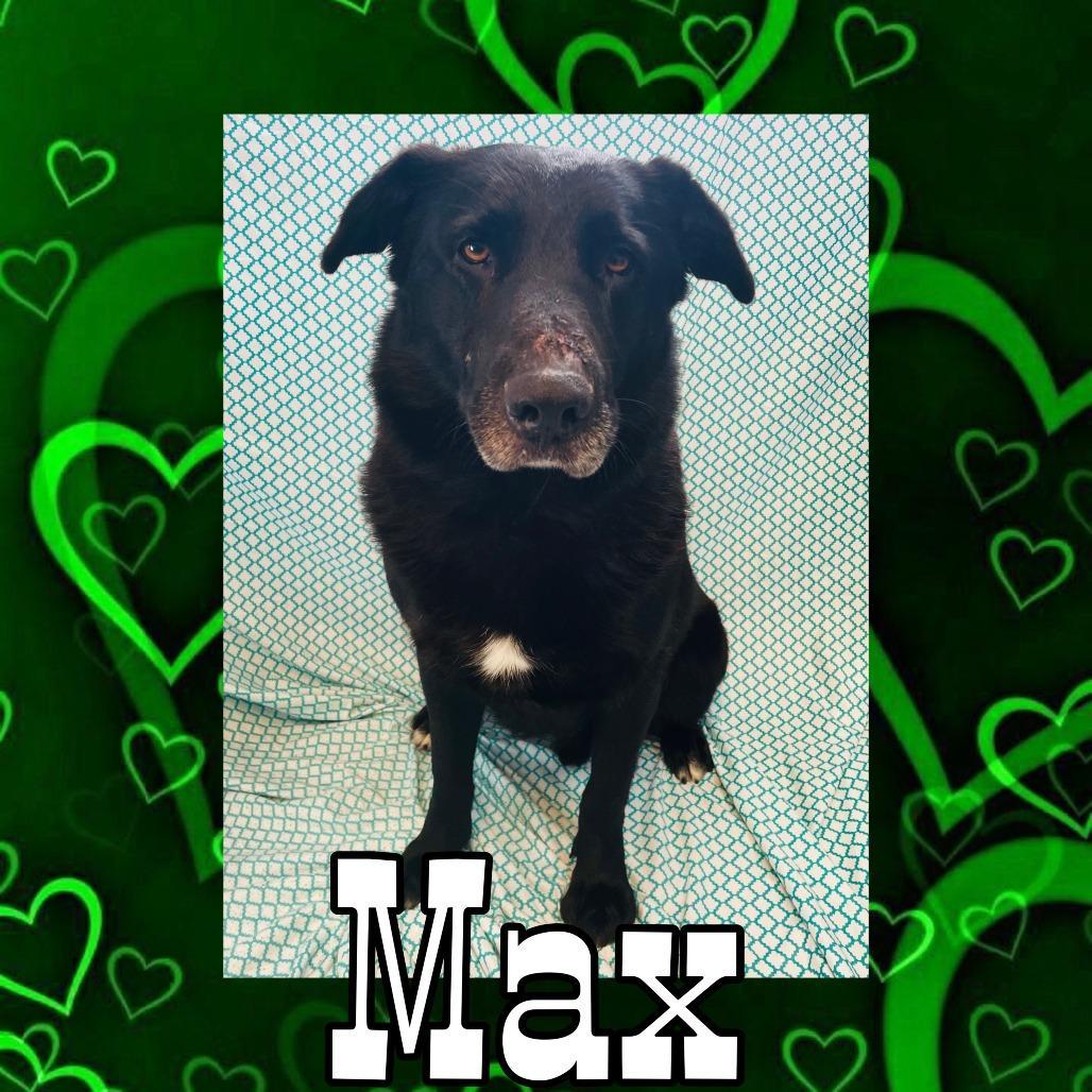 Max
