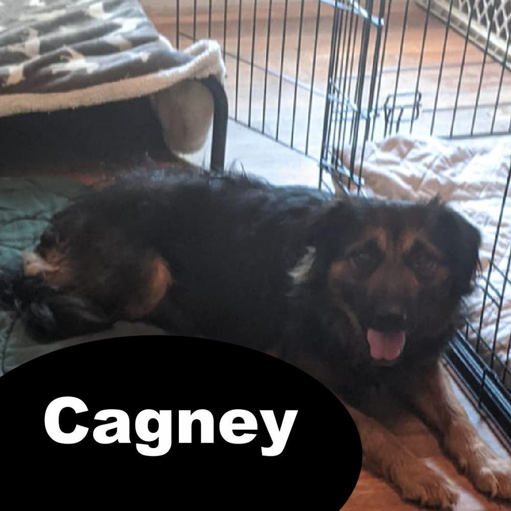 Cagney