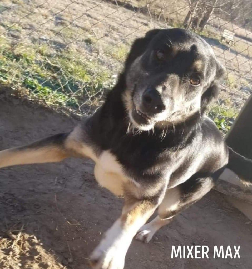 Mixer Max