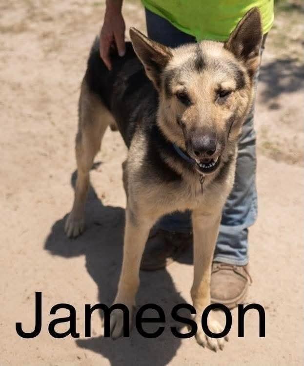 Jameson