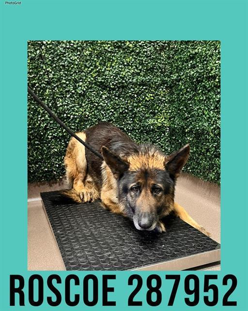 Roscoe