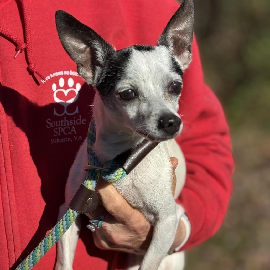 Montgomery Burns photo 1