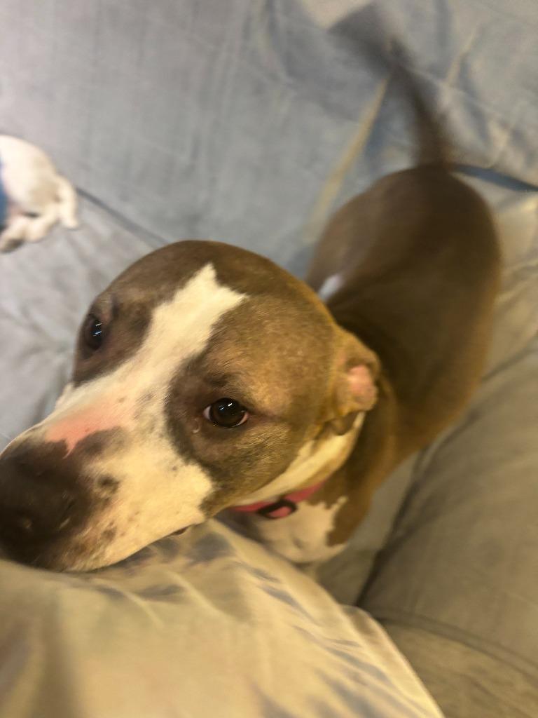 Wilson Courtesy Listing