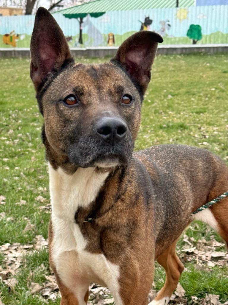 Lilo! Beautiful Incredible Girl!