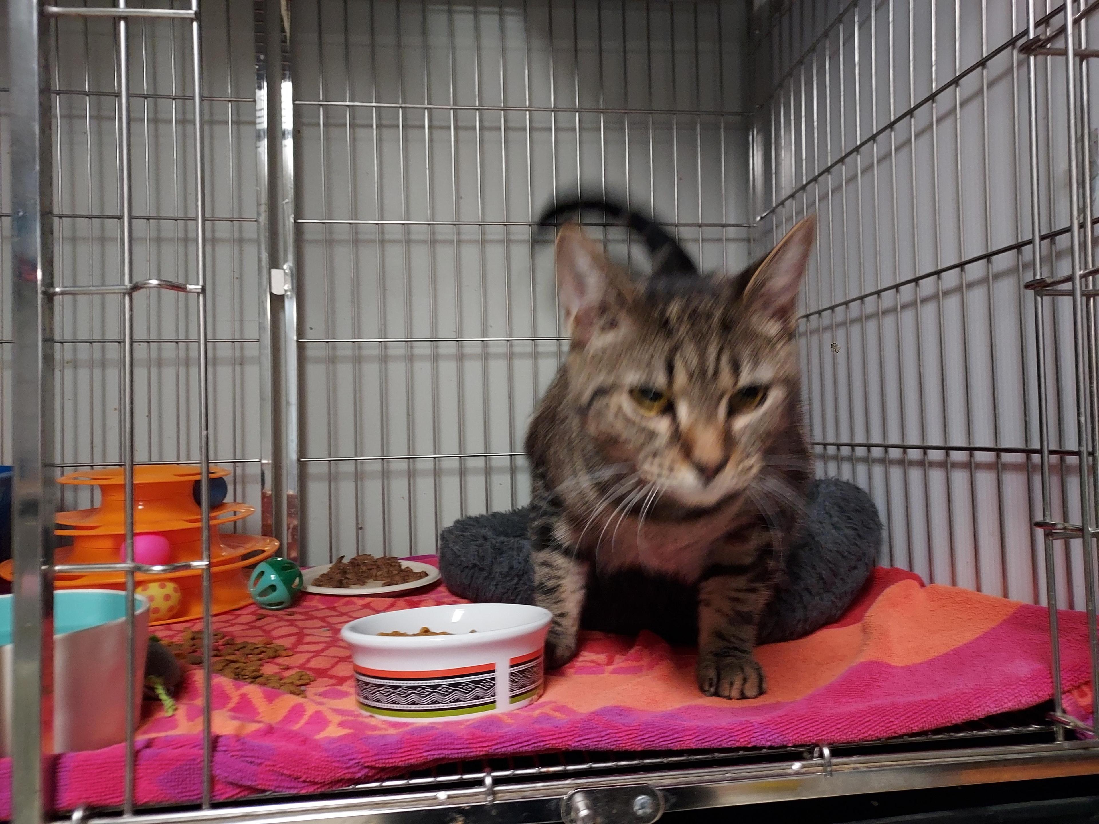 Don Bonded With Roger