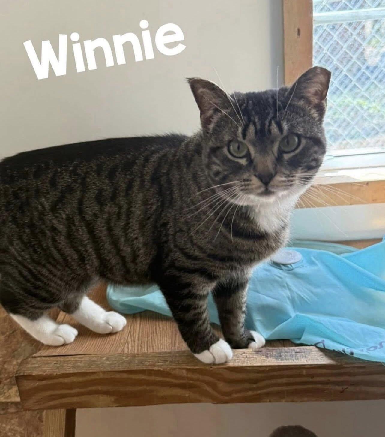 Winnie