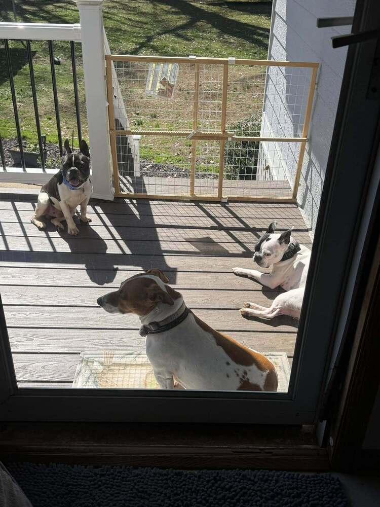 Bentley Anderson Acworth