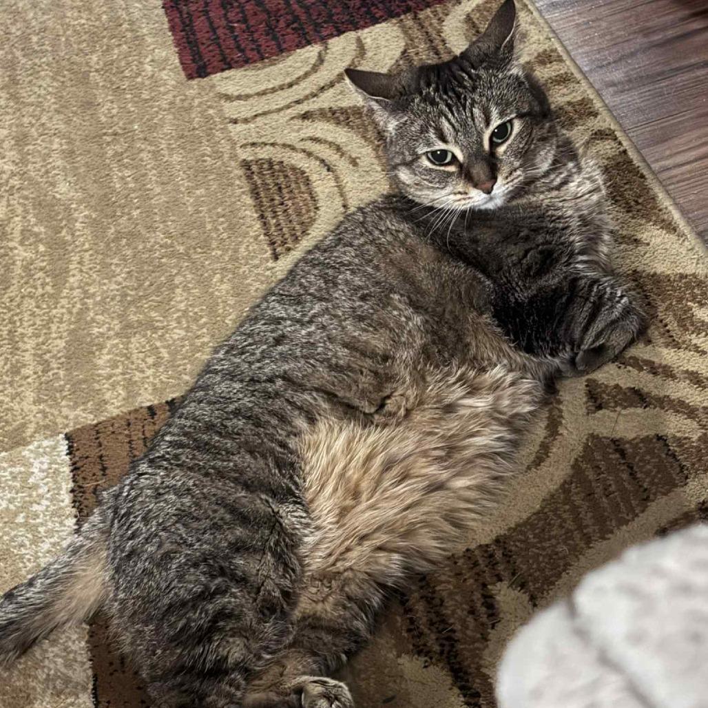 Willow Home To photo 1