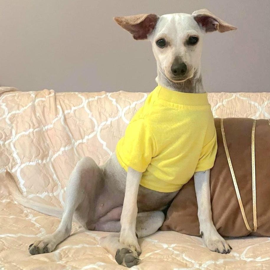 Vida "let's Live Life