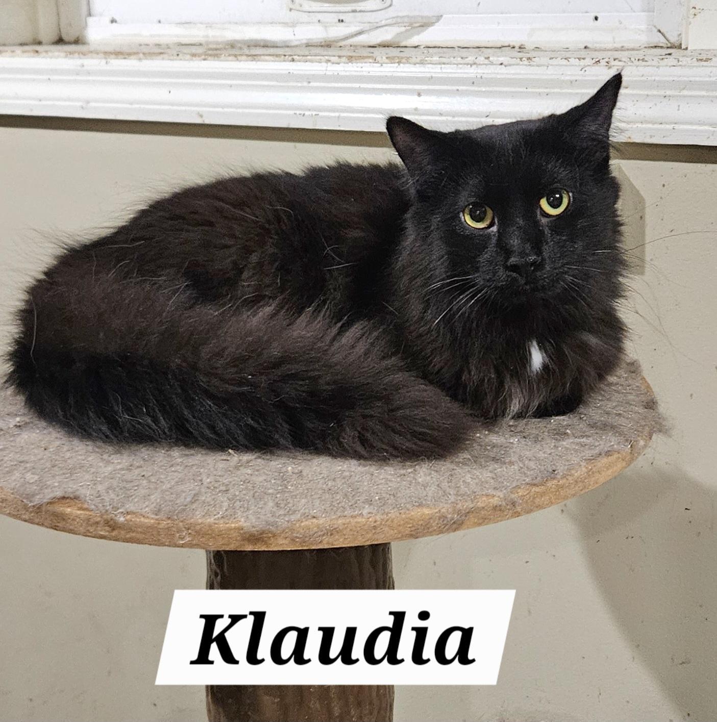 Klaudia
