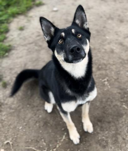 Freya — Urgent! Longtime