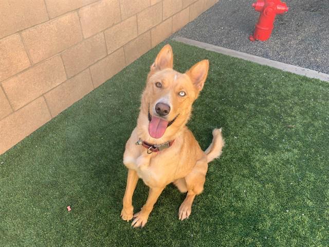 Urgent! Save Me Please!