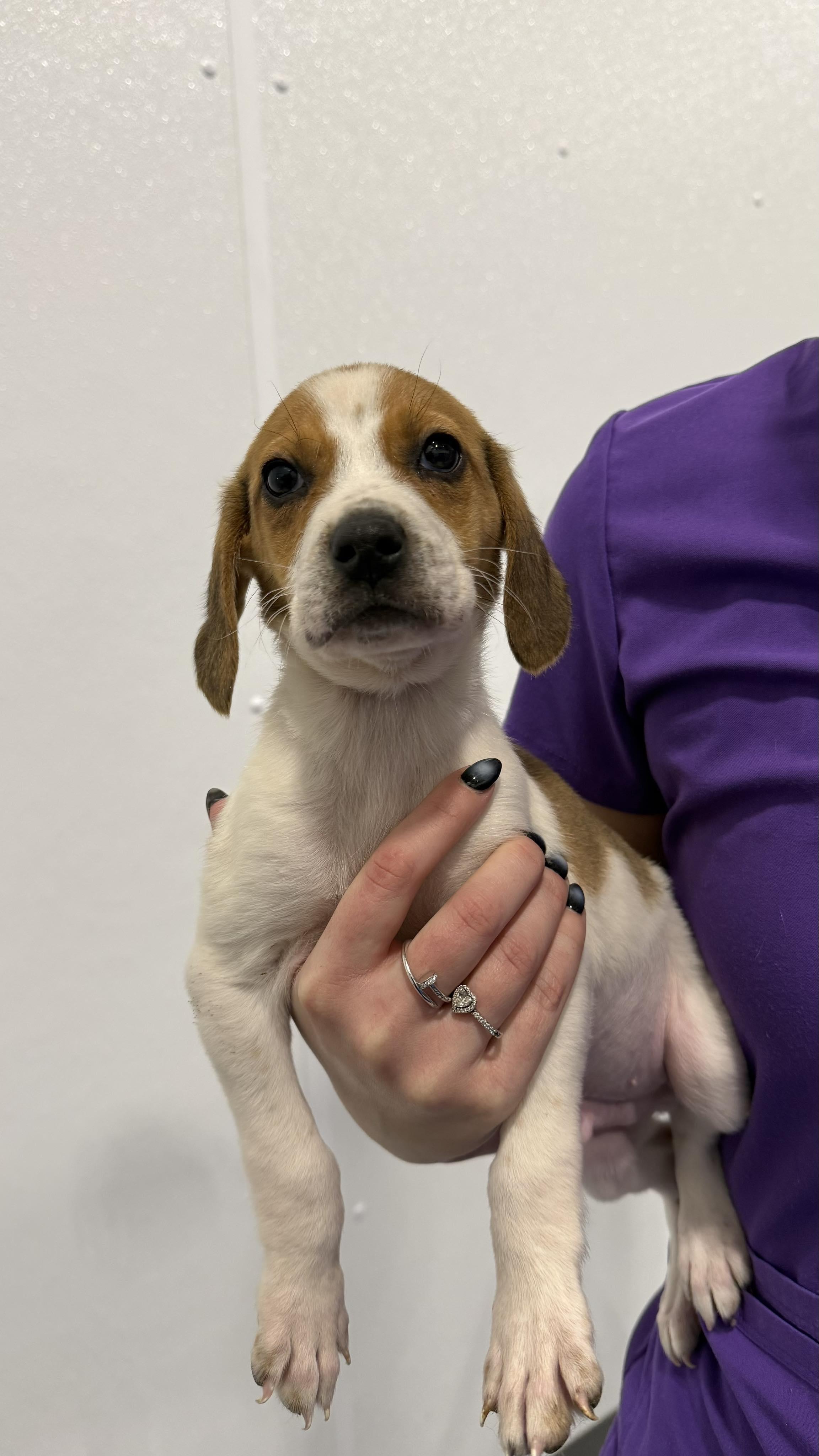 Spencer Reid photo 1