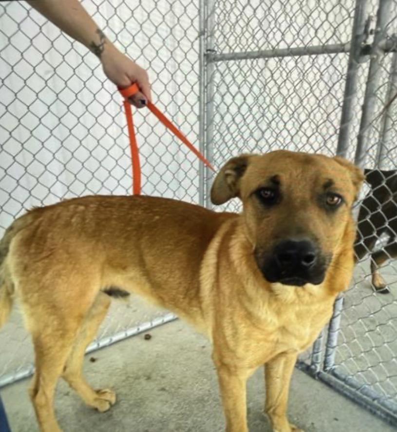 Jax Urgent!