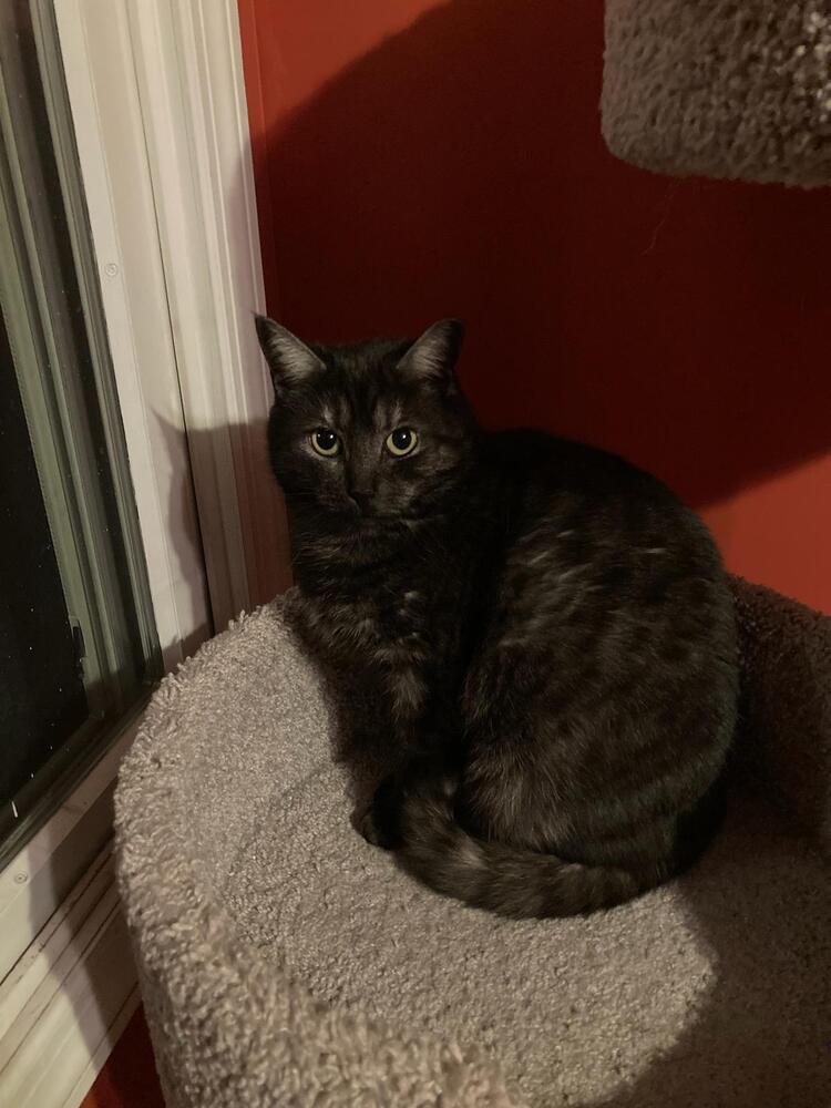 Jessie Mineola photo 1