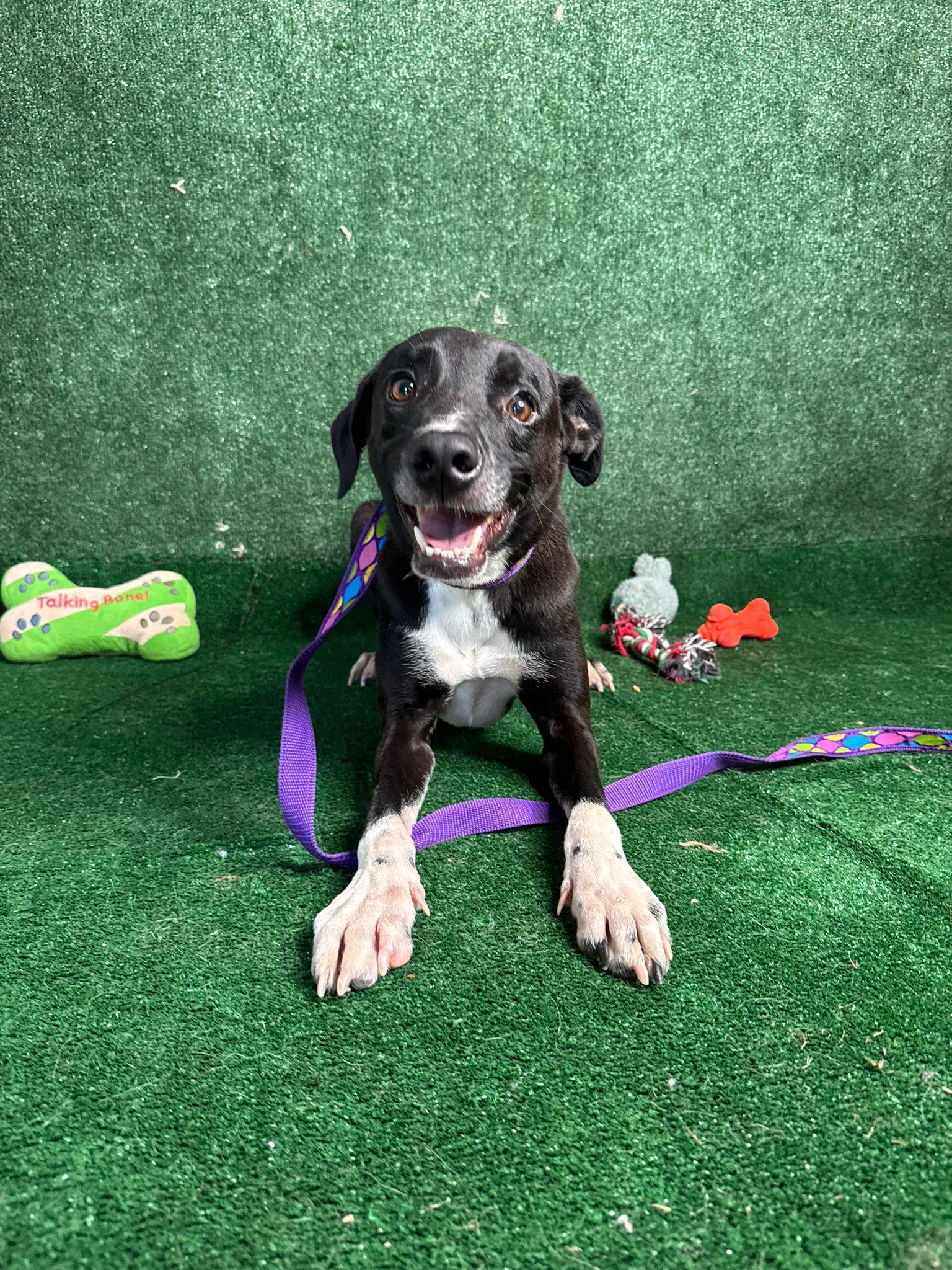 Looney Eyes Luiggi photo 1