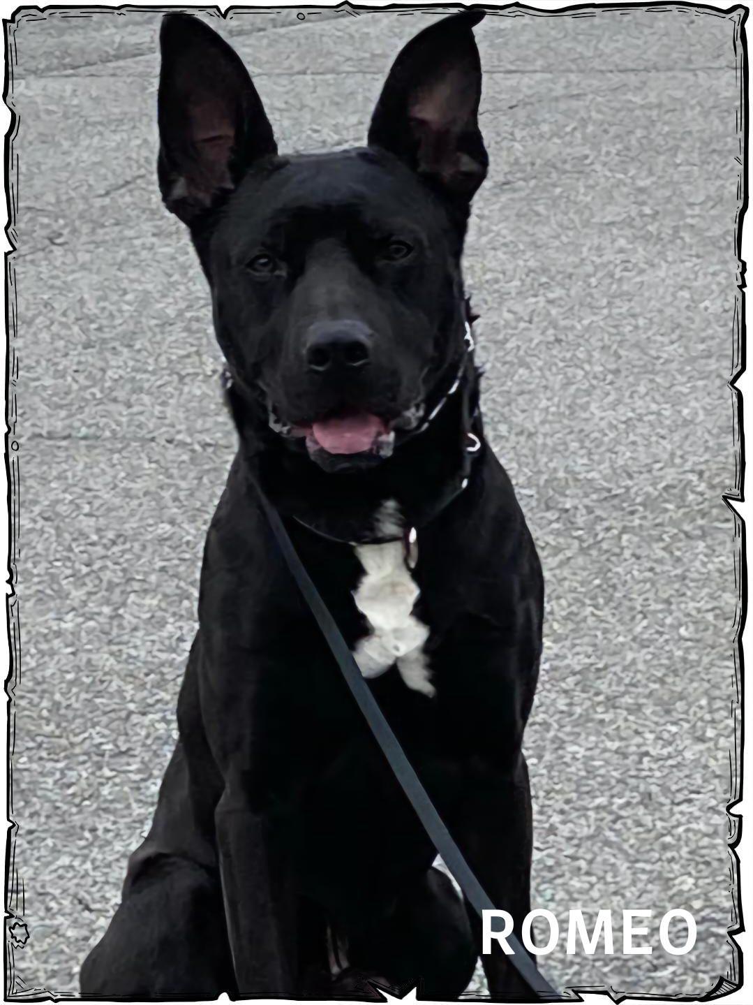 Romeo