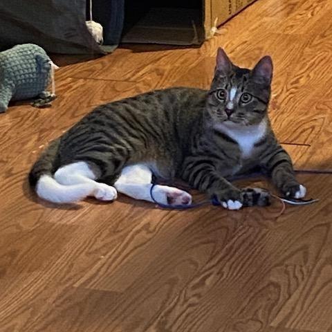 Manager And Cilantro