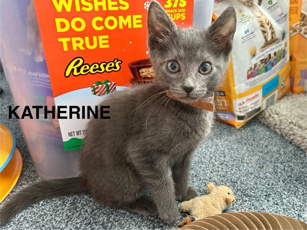 Katherine Johnson Dorothy photo 1