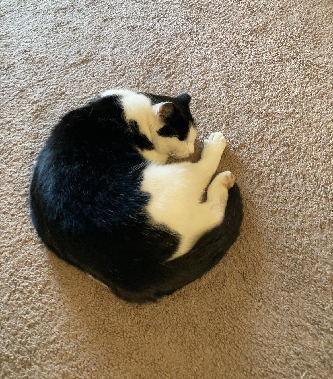 Fred Courtesy Listing