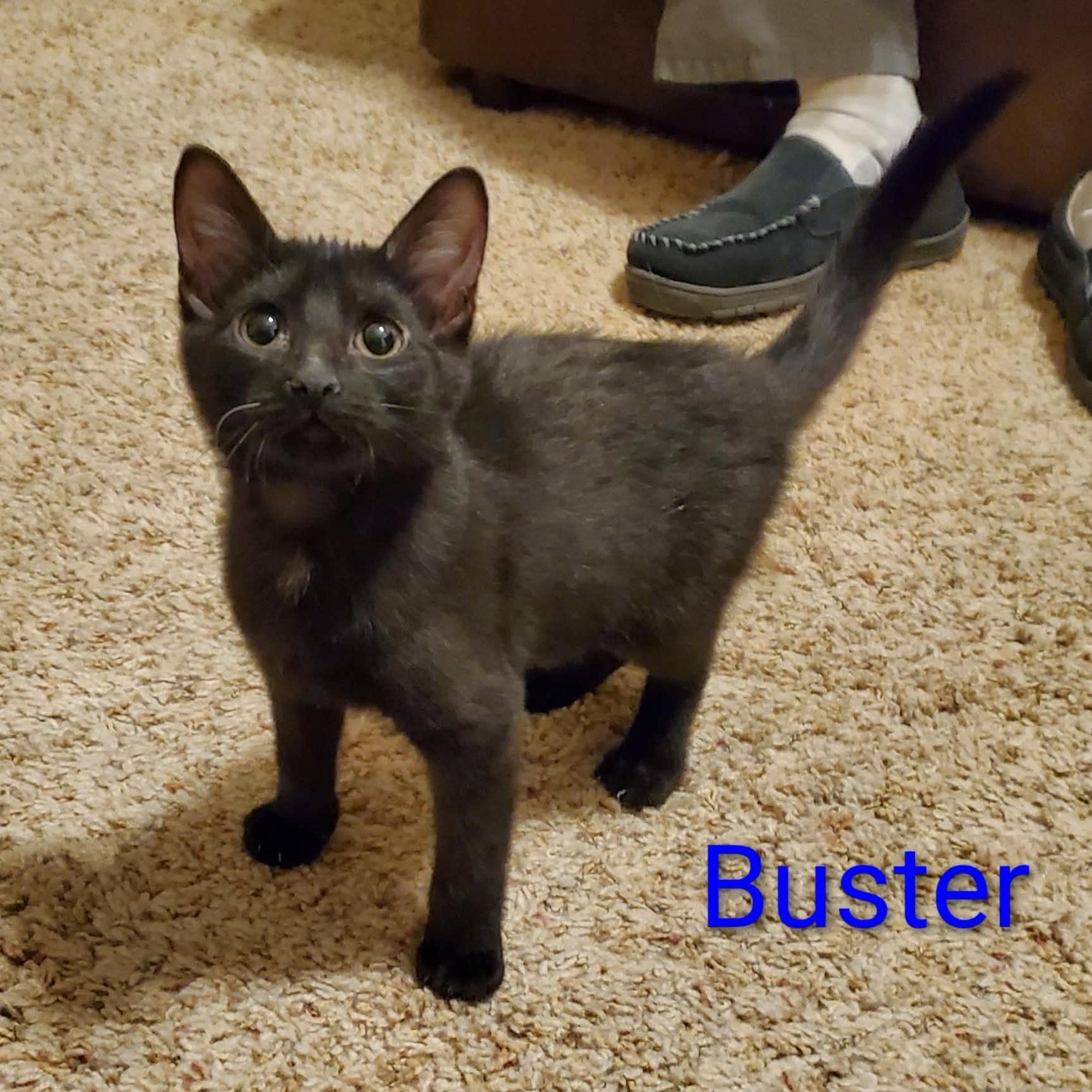 Buster