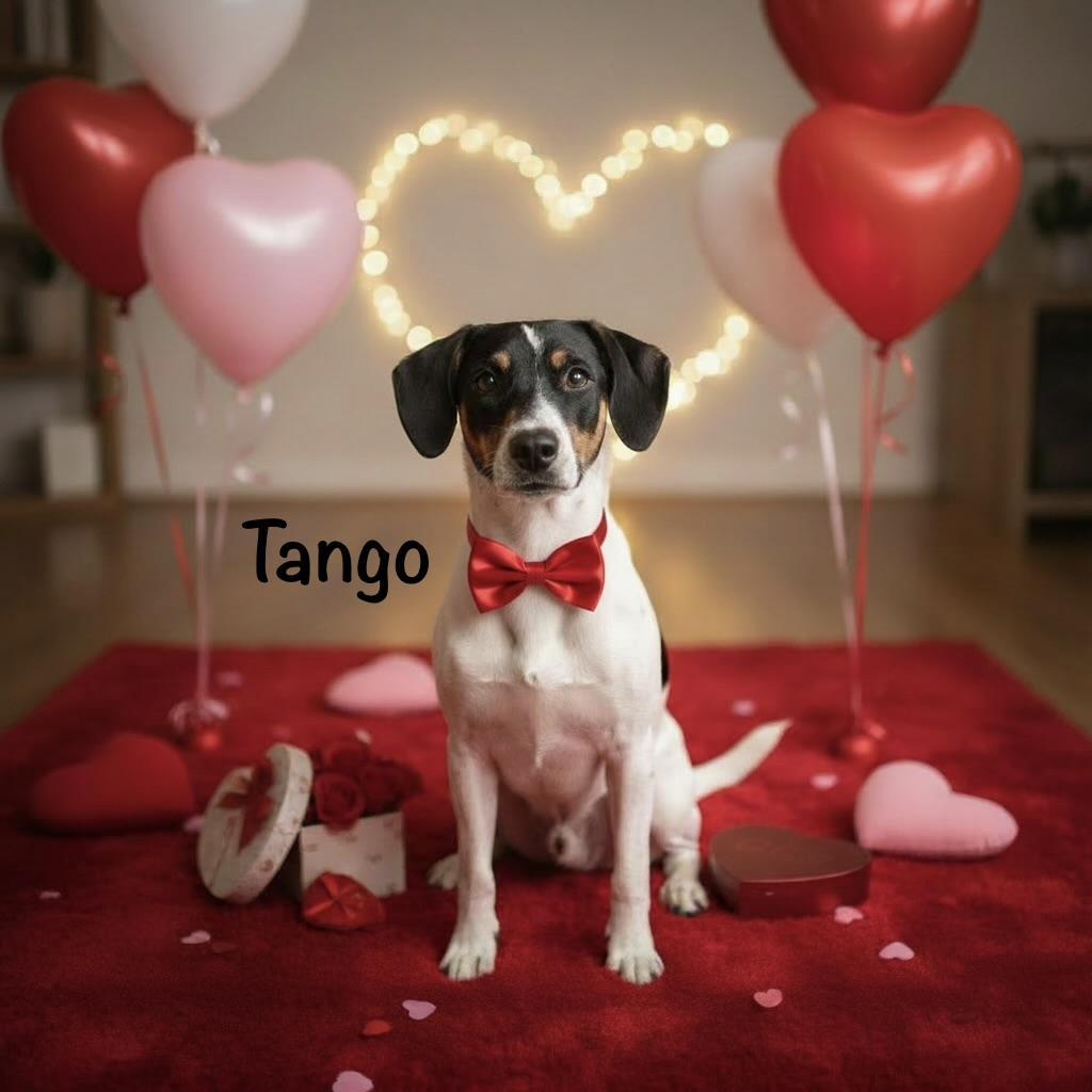 Tango