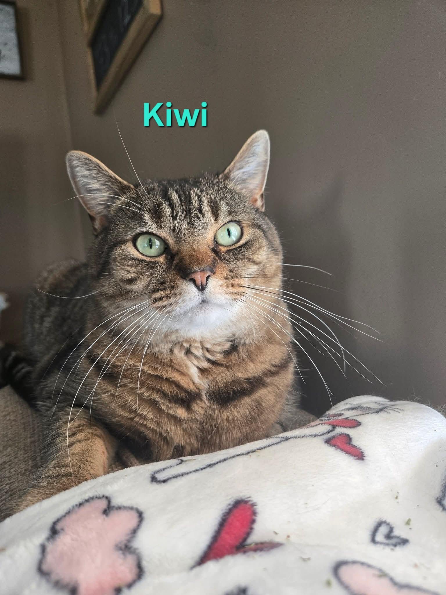 Kiwi
