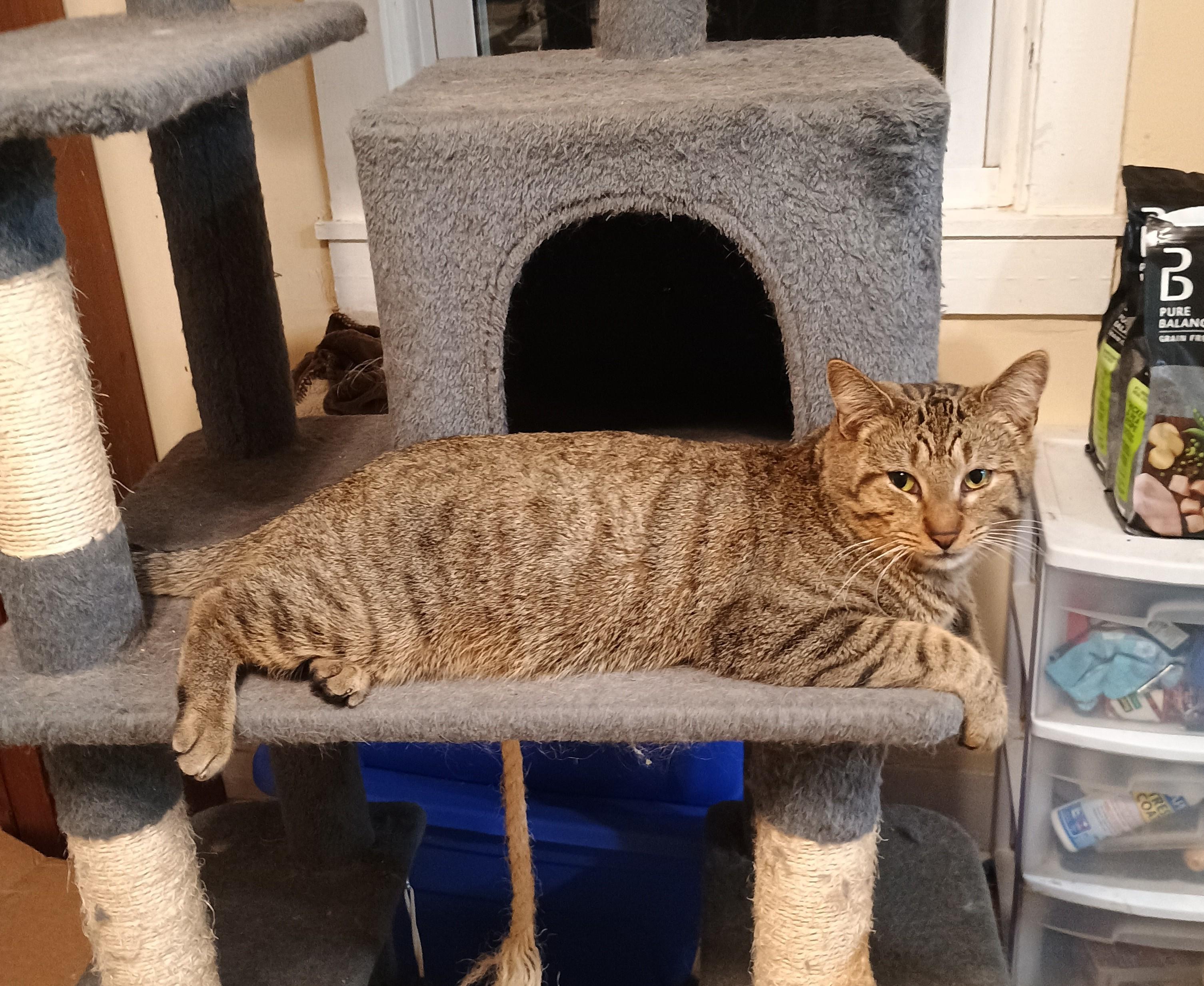 Toby Friendly & photo 1