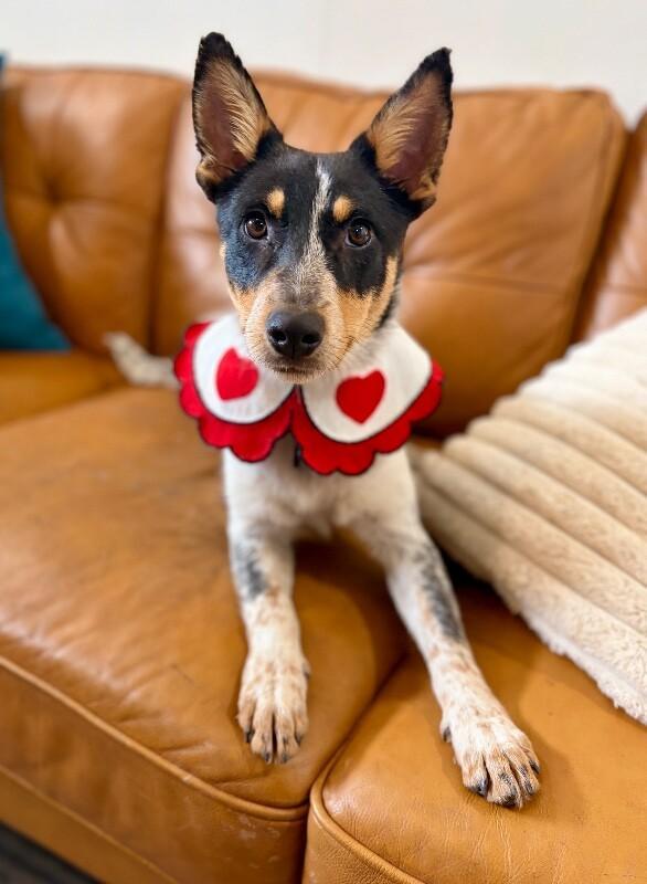 River Welcome Wiggle