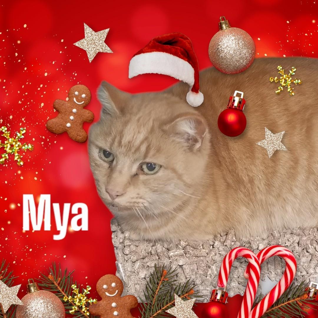 Mya photo 1
