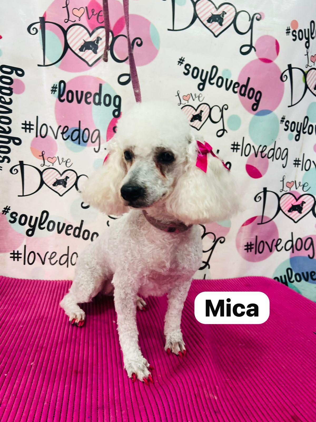 Mica